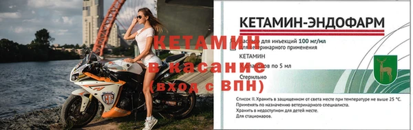 дурь Пересвет