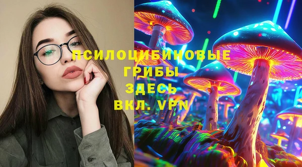 соль курить ск Арсеньев