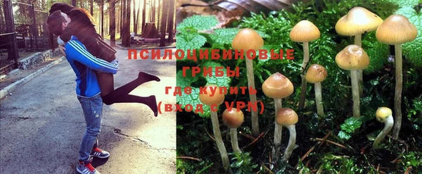 хмурый Армянск