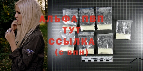 спиды Аркадак