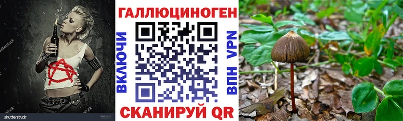 маркетплейс как зайти  Новоаннинский  Галлюциногенные грибы Magic Shrooms 